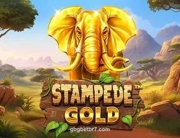 Imagem do jogo Stampede Gold da GBG Bet